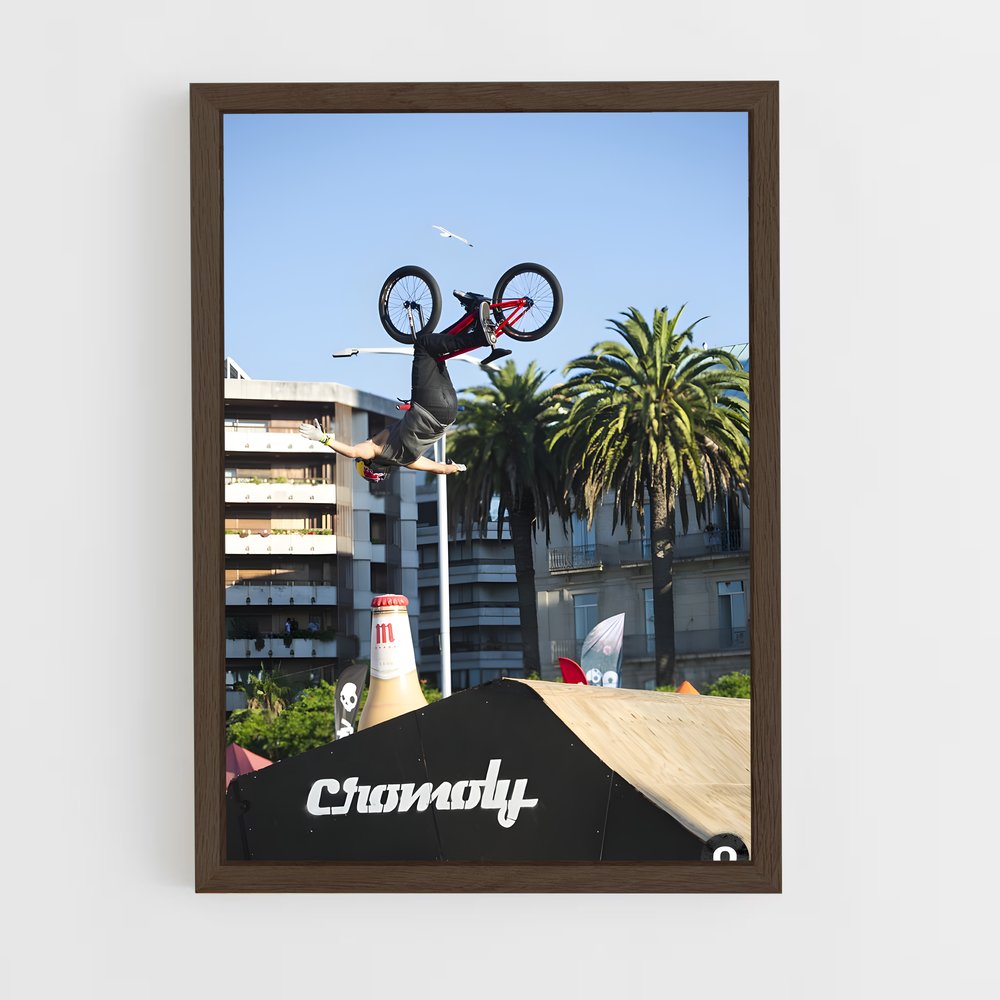 Poster BMX Stunt Master (vue 5)